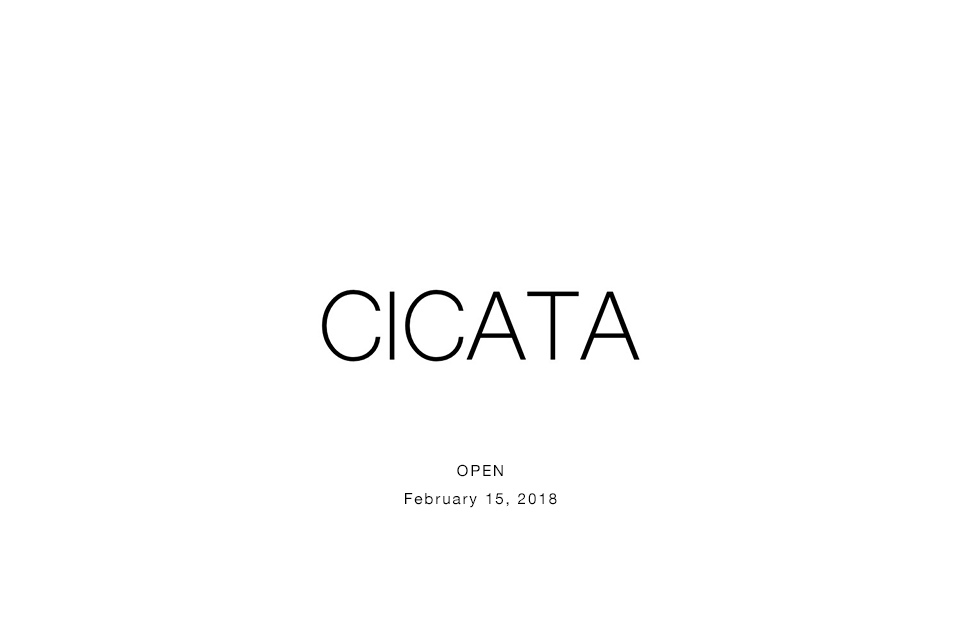CICATA01
